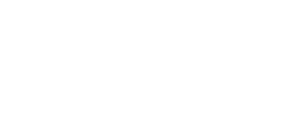 Mint Hill Chamber Logo